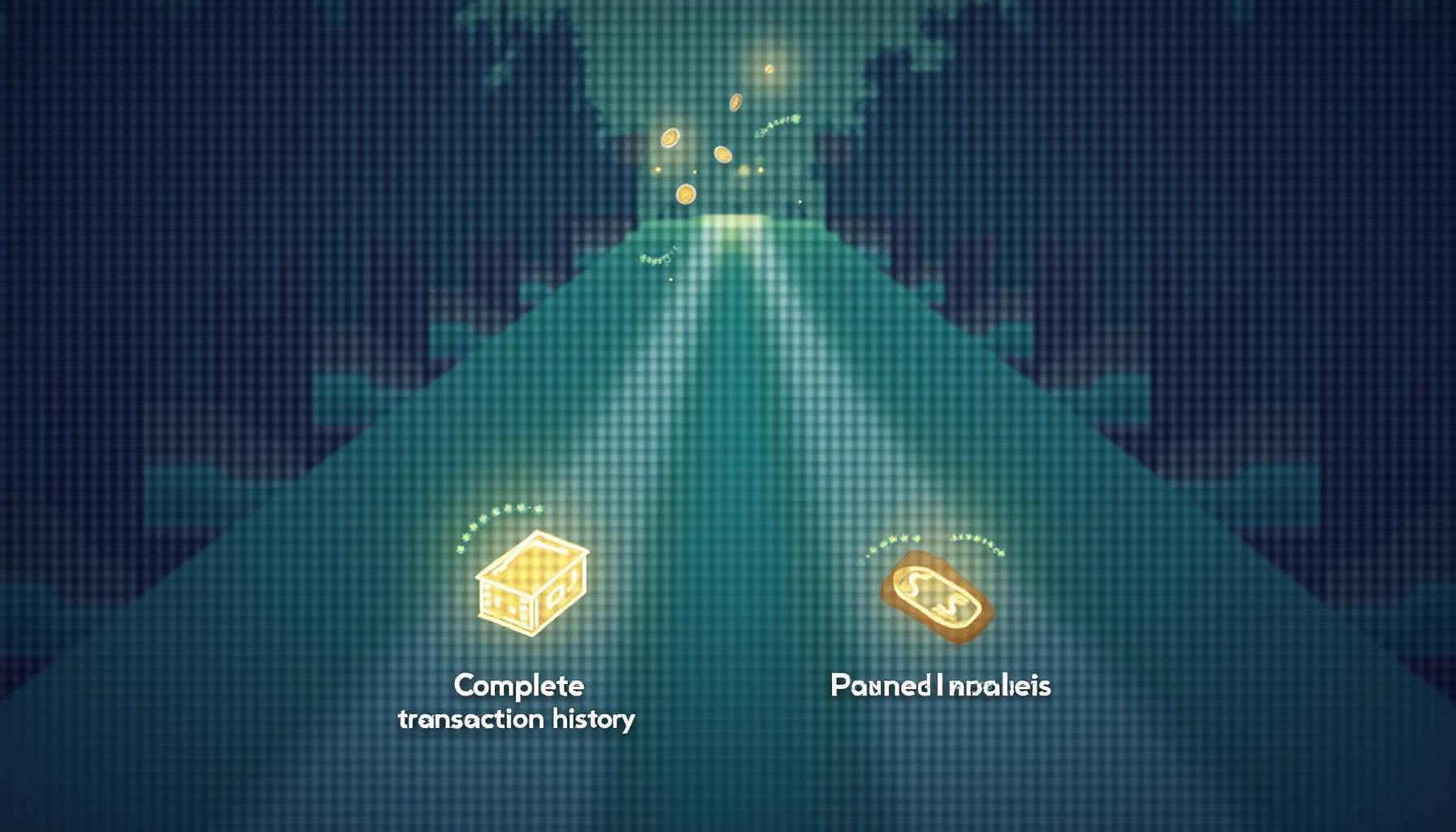 Privacy coin blockchain pruning tradeoffs